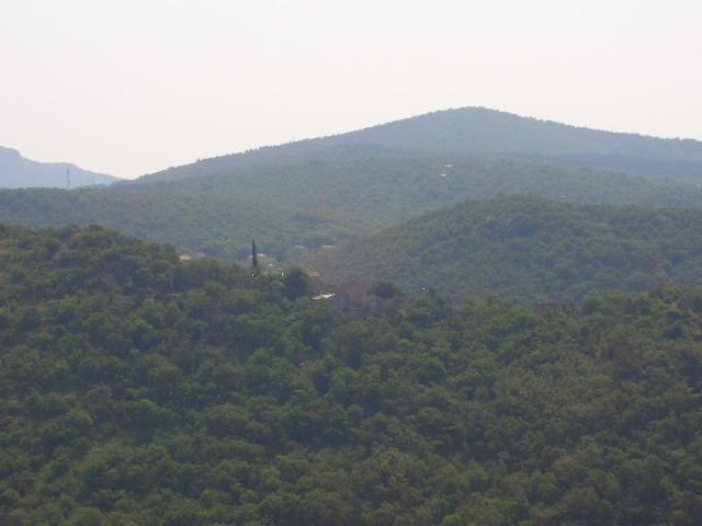 Kuca Orhidea